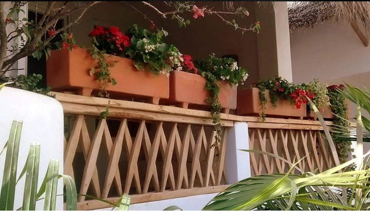 Villa Maria Bed And Breakfast Пуерто Ескондидо Екстериор снимка