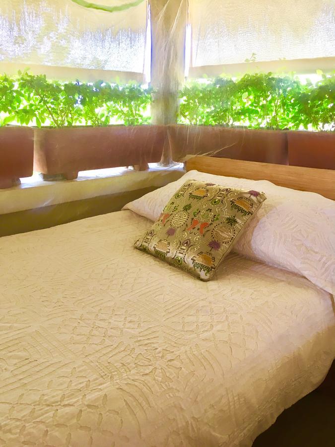 Villa Maria Bed And Breakfast Пуерто Ескондидо Екстериор снимка